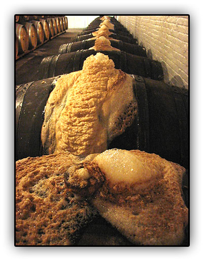 http://www.thamerken.be/images/stories/thamerken/tdg01.jpg