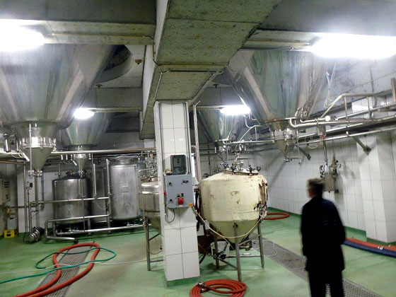 http://www.thamerken.be/images/uitstapwesthoek2013/L1110386k.jpg